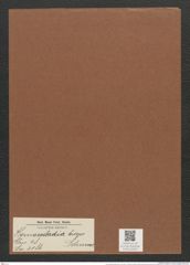 Homoeocladia biceps Schum. (de-Toni-Nr.: Genus 48, Species 2186) Zeichnungen Sammlung Grunow Mappe 02401 (Herbarium_W_Grunow_drawings_Folder_02401)